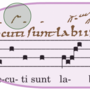 tr_2_nov.png