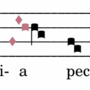 dn_ter.png