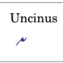 l_uncinus_punctum.png