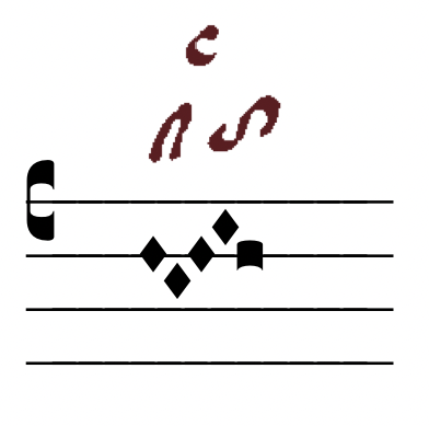 nma_circulatio.png
